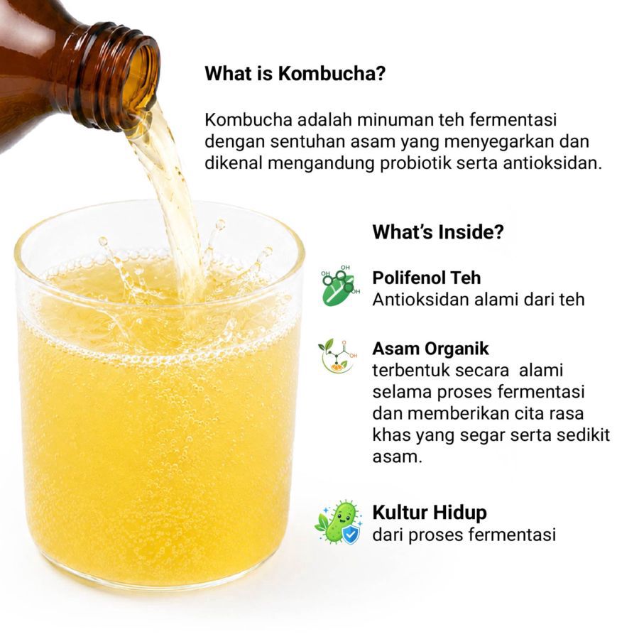 Kombucha Passion Fruit Teh Fermentasi Astro Goods 330ml