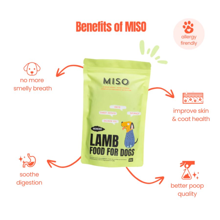 MISO Cooked Minced Lamb Recipe Makanan Anjing Basah