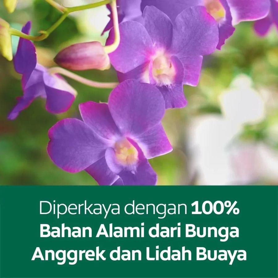 Palmolive Naturals Milk & Wild Orchid Shower Milk