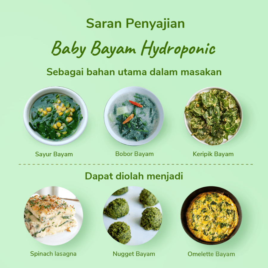 Baby Bayam Hydroponic Astro Farm 200gram