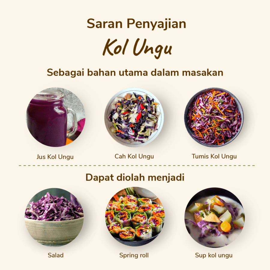 Kol Ungu Astro Farm 1 pcs 400-450gram