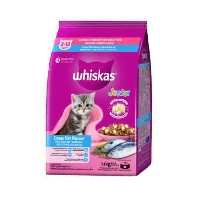 Whiskas Ocean Fish Junior Makanan Kucing