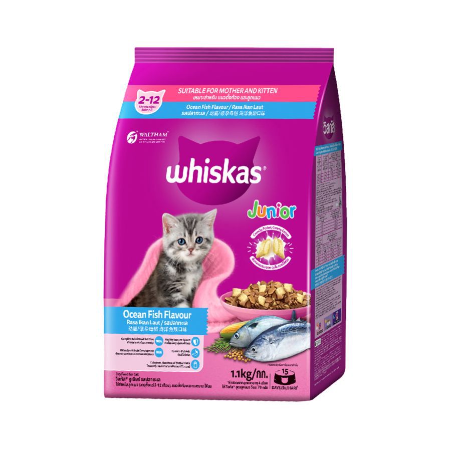 Whiskas Ocean Fish Junior Makanan Kucing 1100gram