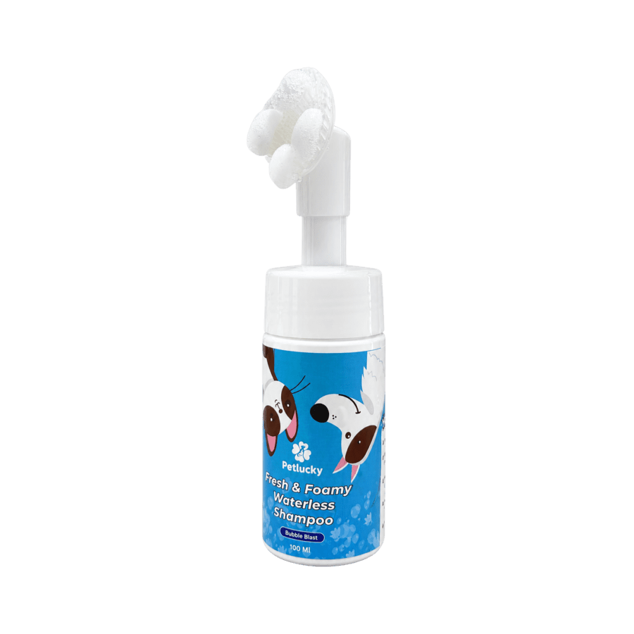 Petlucky Fresh Foamy Bubble Blast Dry Shampoo Hewan 100ml