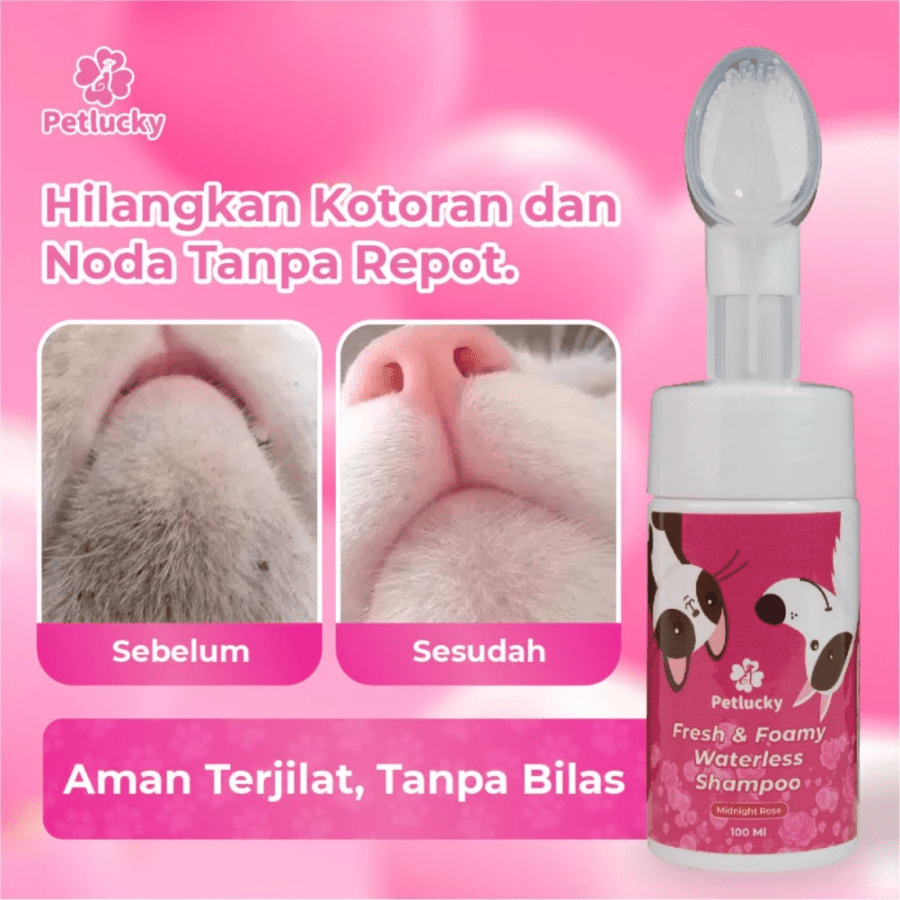 Petlucky Fresh Foamy Bubble Blast Dry Shampoo Hewan 100ml