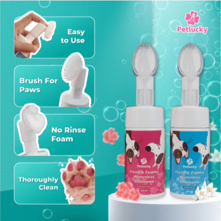 Petlucky Fresh Foamy Bubble Blast Dry Shampoo Hewan 100ml
