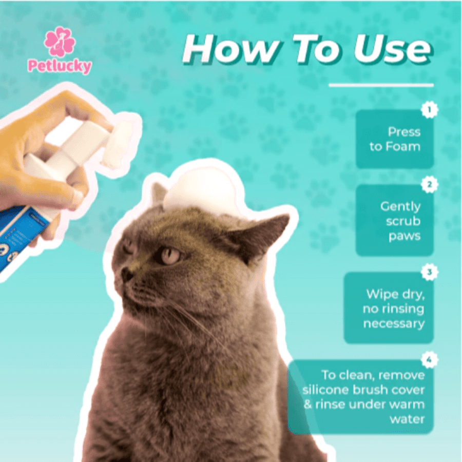 Petlucky Fresh Foamy Bubble Blast Dry Shampoo Hewan 100ml