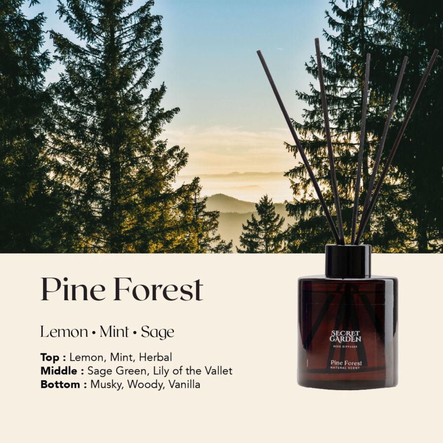 Secret Garden Reed Diffuser Pine Forest Pengharum Ruangan