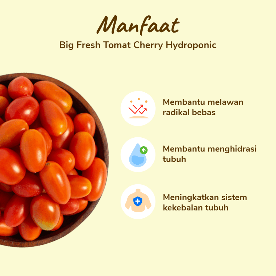 Tomat Cherry Hydroponic Big Fresh 1packs