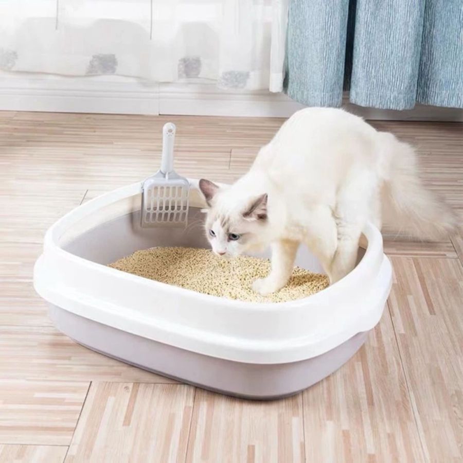 Cat Litter Box Small with Scoop 1pcs