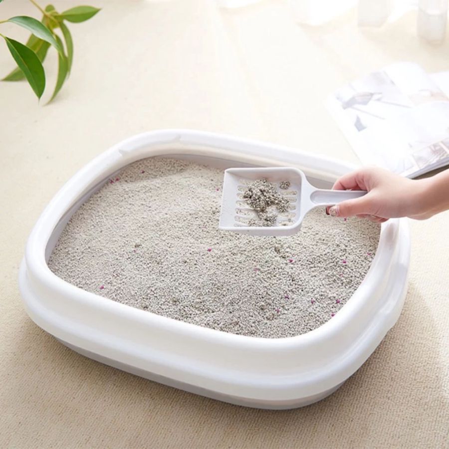 Cat Litter Box Small with Scoop 1pcs