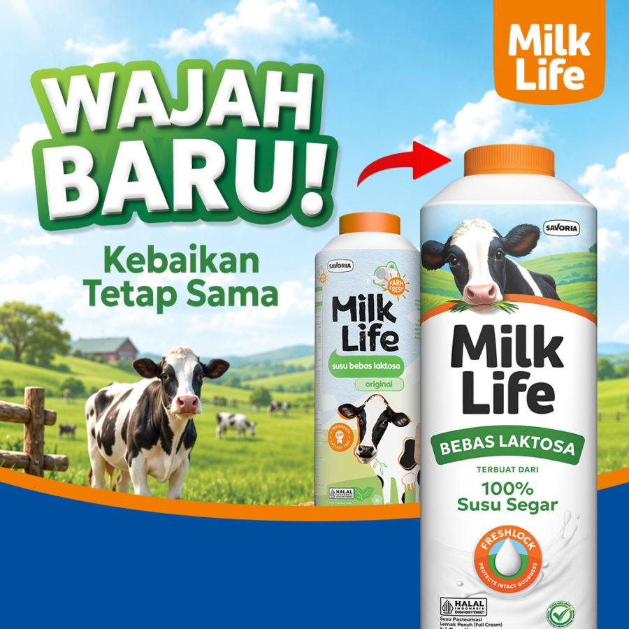 Milk Life Fresh Milk Lactose Free Original