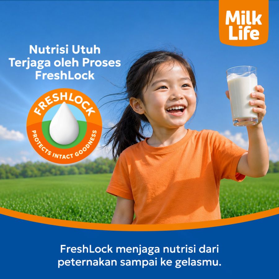 Milk Life Fresh Milk Lactose Free Original