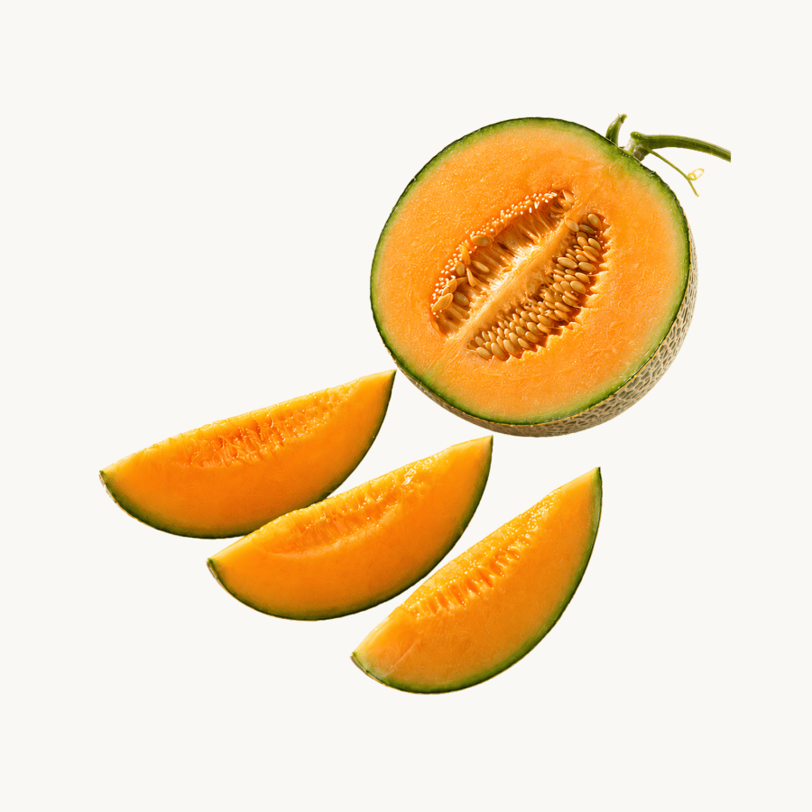 Melon Fujisawa Hidroponik Astro Farm
