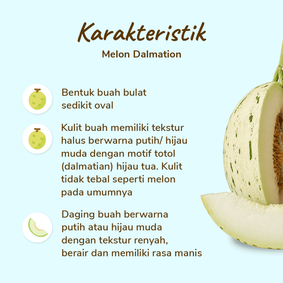 Melon Dalmatian Astro Farm 1 pcs