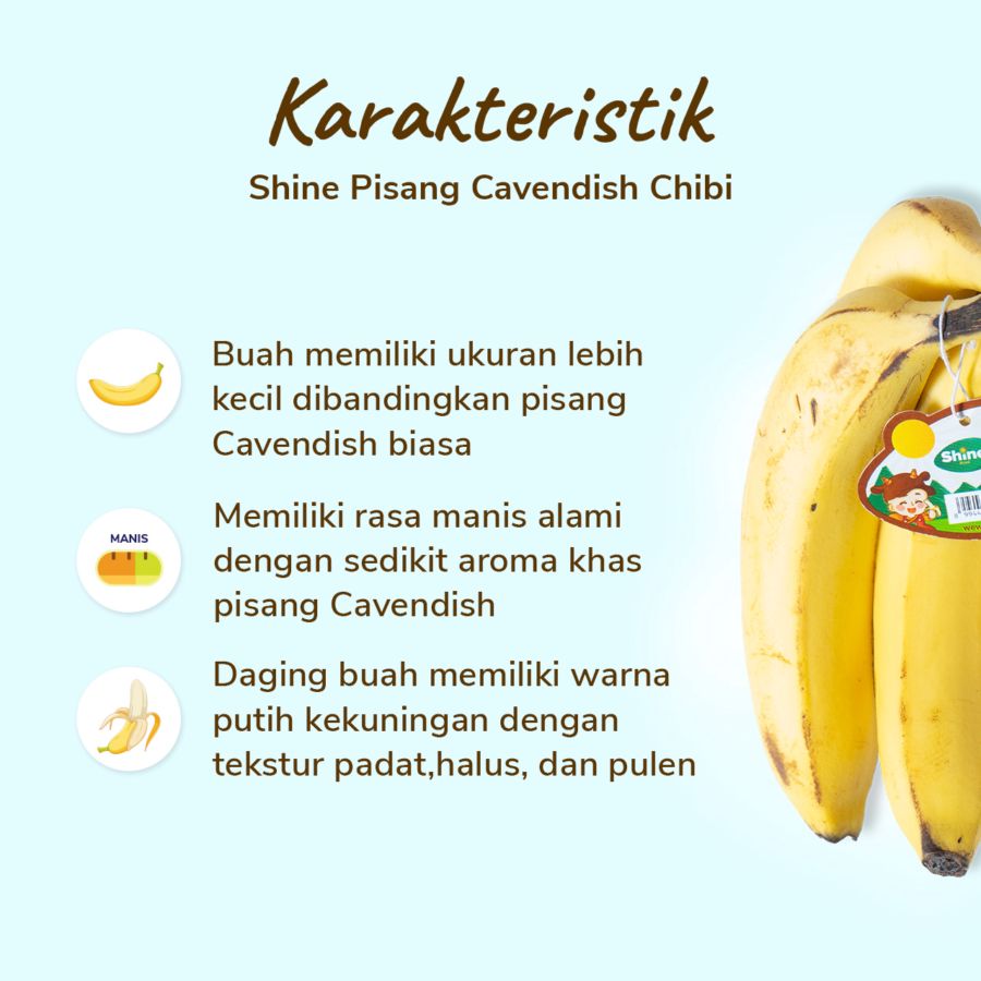 Shine Pisang Cavendish Chibi 5-9 pcs
