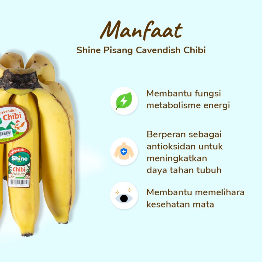 Shine Pisang Cavendish Chibi 5-9 pcs