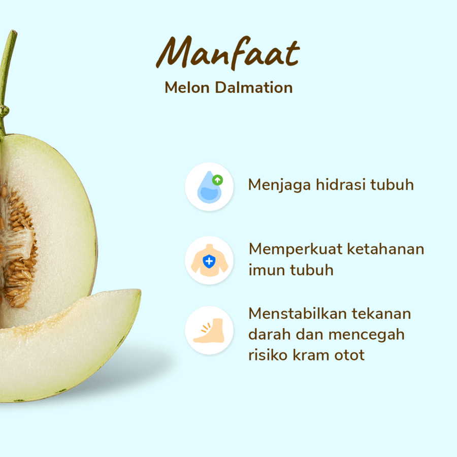 Melon Dalmatian Astro Farm 1 pcs
