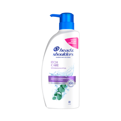 Head & Shoulders Itch Care Anti Dandruff Shampoo