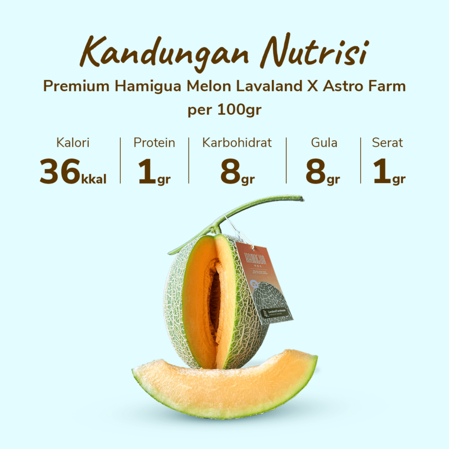 Premium Hamigua Baby Melon Lavaland X Astro Farm 1 pcs