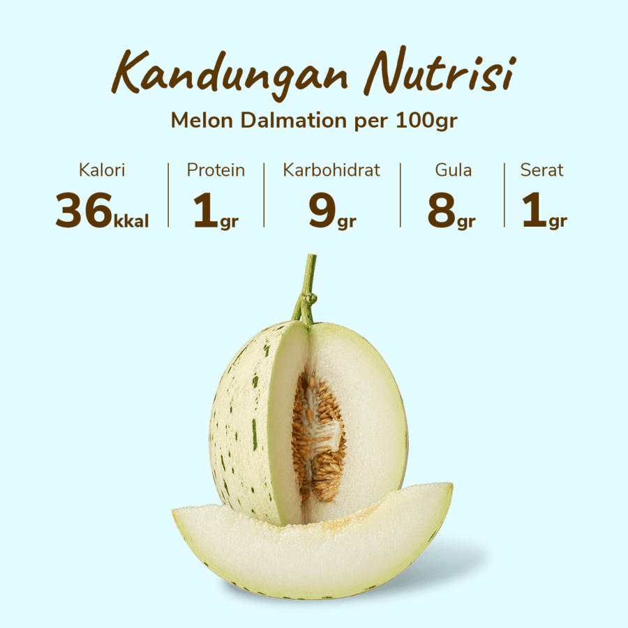 Melon Dalmatian Astro Farm 1 pcs