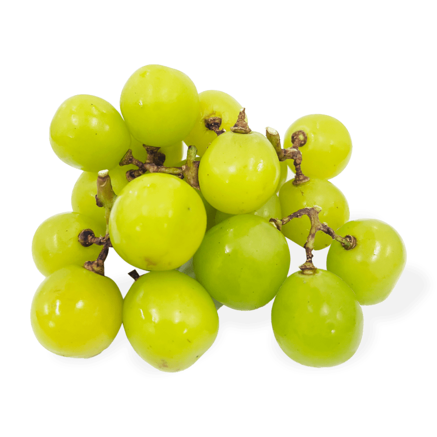 Anggur Hijau Shine Muscat Less Seed Ekonomis Astro Farm