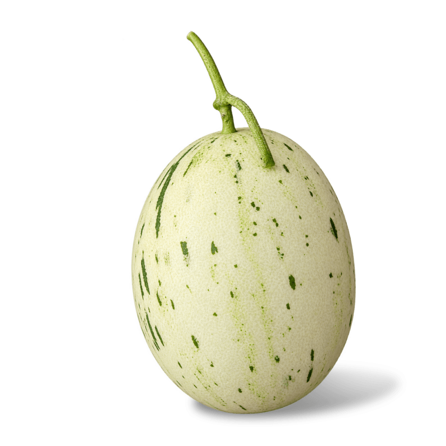 Melon Dalmatian Astro Farm 1 pcs
