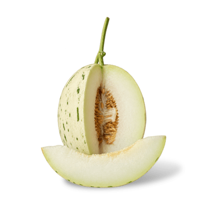 Melon Dalmatian Astro Farm 1 pcs