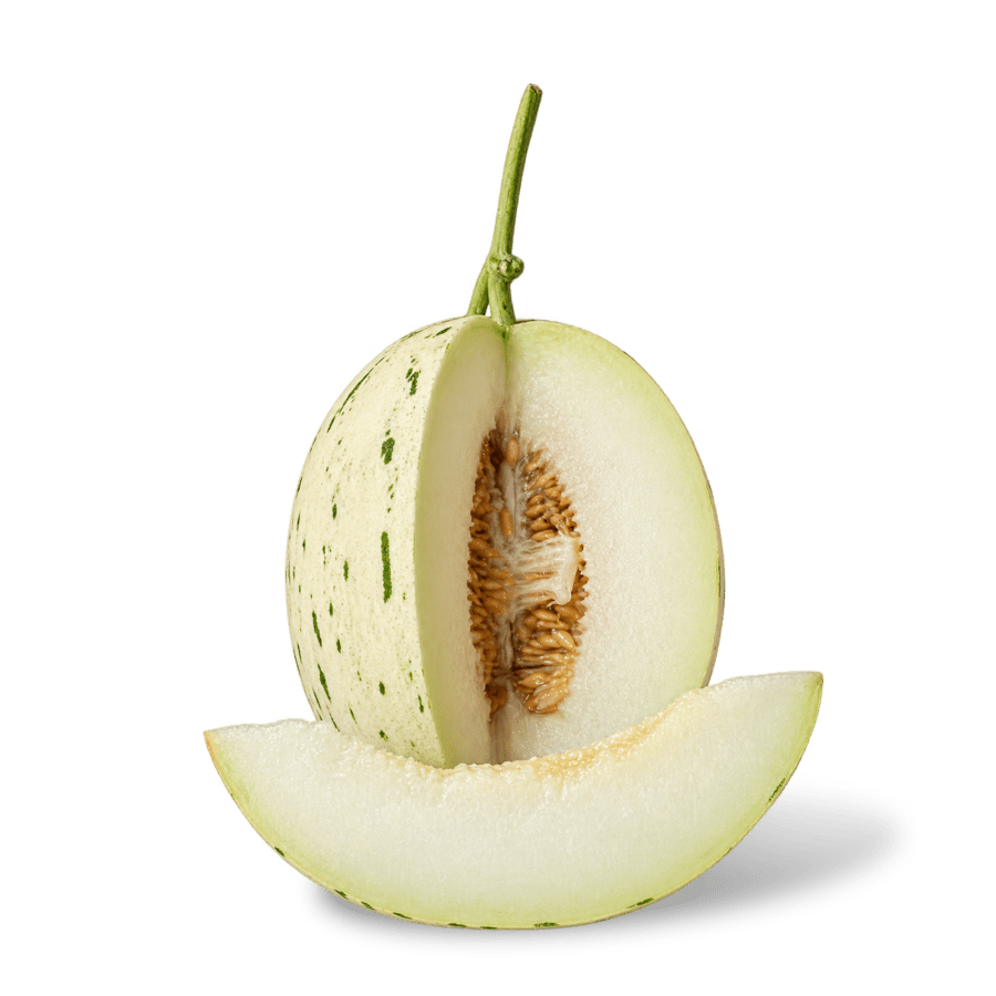 Melon Dalmatian Astro Farm 1 pcs