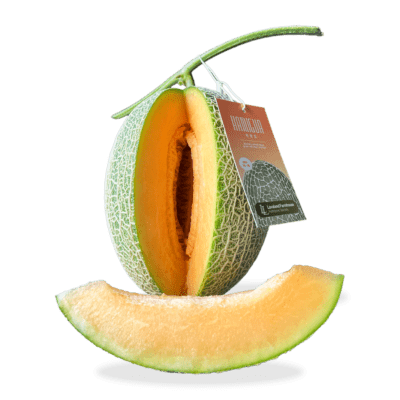Premium Hamigua Melon Lavaland X Astro Farm 1 pcs