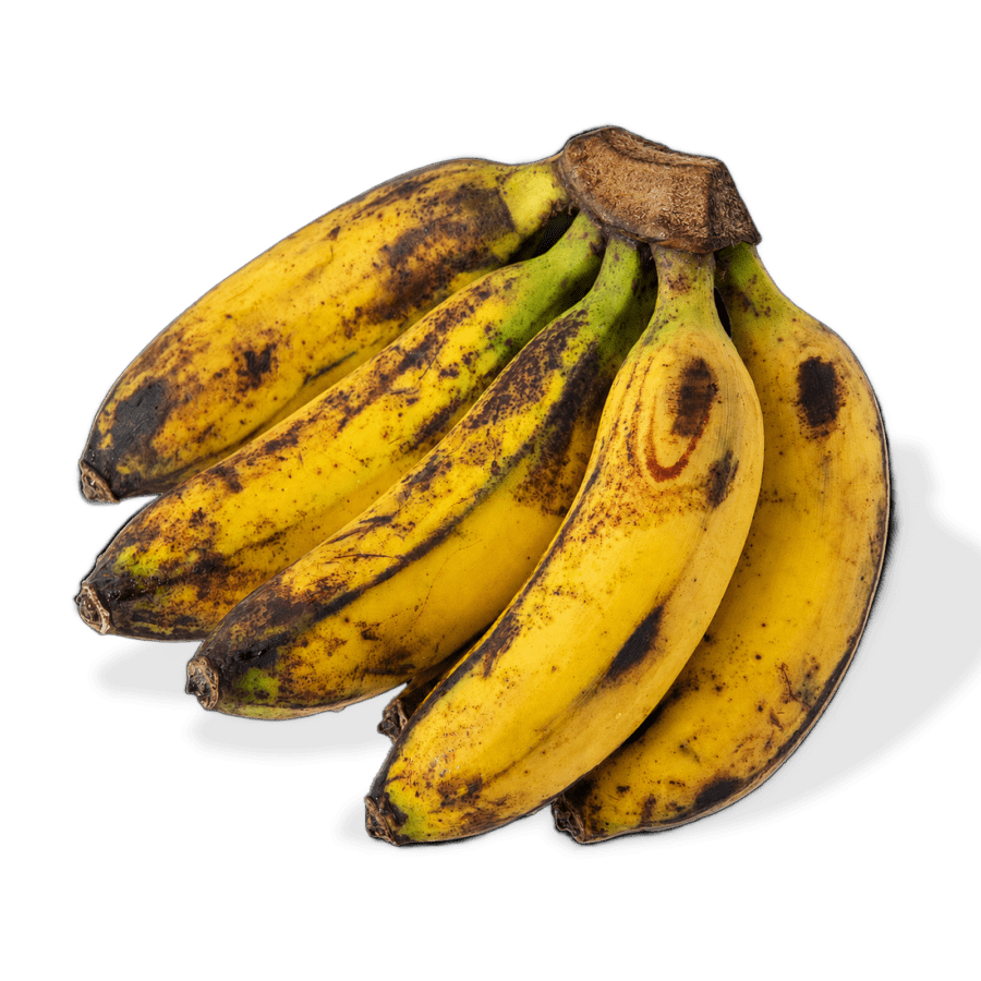 Pisang Barangan Astro Farm