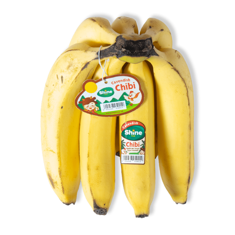 Shine Pisang Cavendish Chibi 5-9 pcs