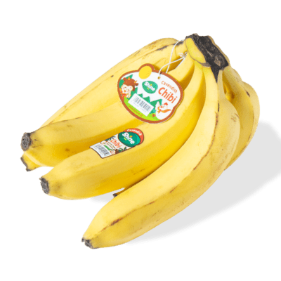 Shine Pisang Cavendish Chibi