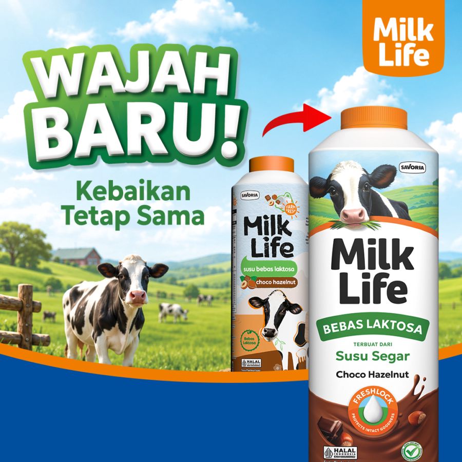 Milk Life Fresh Milk Lactose Free Choco Hazelnut